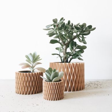 Indoor planter - CROIX - Perfect for succulents or cacti