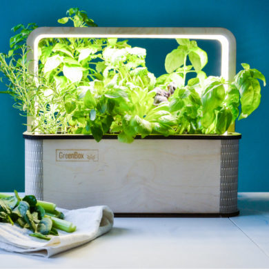 The GreenBox Smart Indoor Garden for home and office