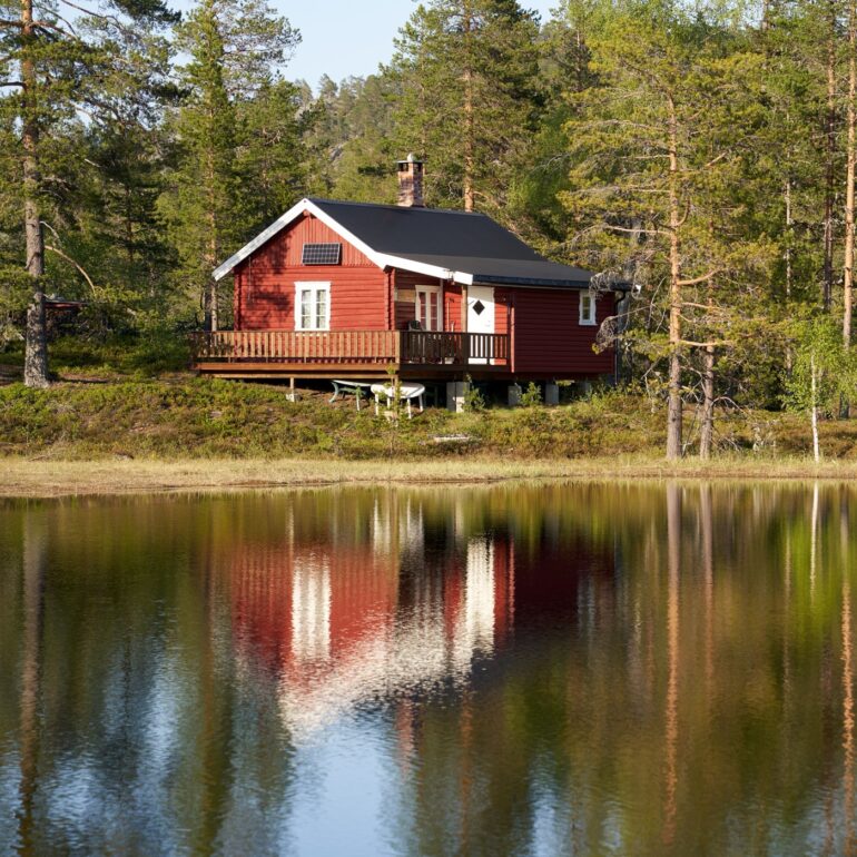 Compact off-grid tiny home surrounded by nature.