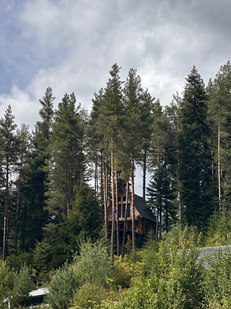 Remote mountain home designed for off-grid living